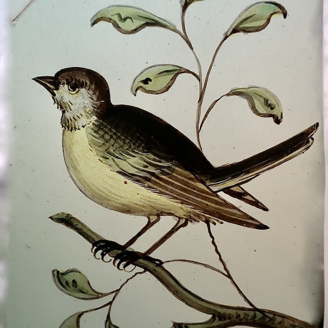 17de-eeuws gebrandschilderd glasstuk met de voorstelling van een vogel